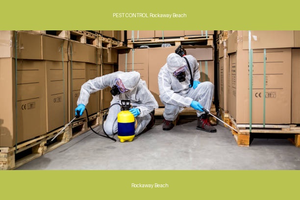 PEST CONTROL Rockaway Beach